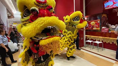 A lion dance held at a shopping mall to celebrate upcoming Chinese New Year.