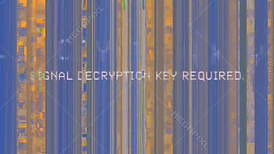 Digital video distortion encrypted signal