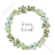 Watercolor christmas illustration. Winter botanical wreath with eucalyptus, fir tree branches and holly. Xmas artwork with floral