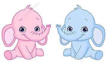 Baby elephants