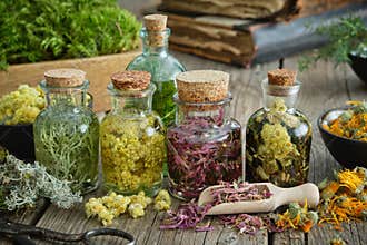 Bottles of infusion of healthy medicinal herbs and healing plants on wooden table. Herbal medicine. Old books and box of healthy