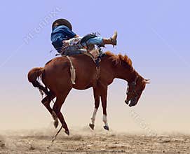 Bucking Rodeo Horse