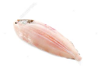 Sole fish ready to cook
