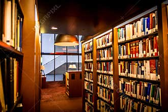 Modern, warm and cosy library, with shelves full of books and beautiful lamps