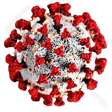 COVID 19 virus cell white background Coronavirus outbreak in 2019