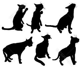 Set of Cat silhouettes
