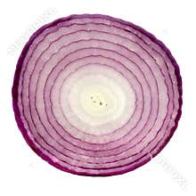 Red Onion Slice