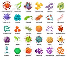 Bacteria and virus icons. Disease-causing bacterias, viruses and microbes. Color germs, bacterium types vector