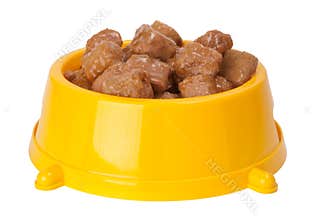 Dog's food