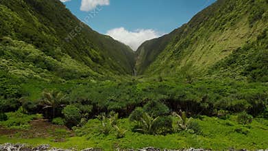 Beautiful green tropical canyon gorge with palms and waterfall on the end, flying toward, Kohala forest, Hawaii