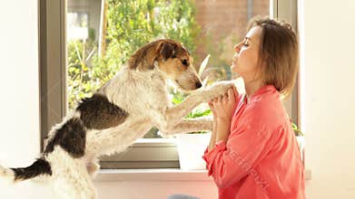 Beautiful young woman is playing by the window with her dog. Pet begs for a treat.