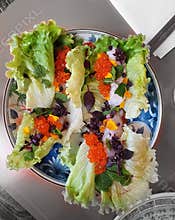 Salmon egg salad, Japanese food, Japan