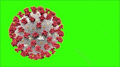 Realistic 3D animation of the Coronavirus 2019-nCoV Wuhan. SARS-CoV-2 known as 2019-nCoV, COVID-19. Seamless loop.