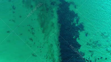 Oil pollution in sea. Ecology, ecological disaster from fuel leak