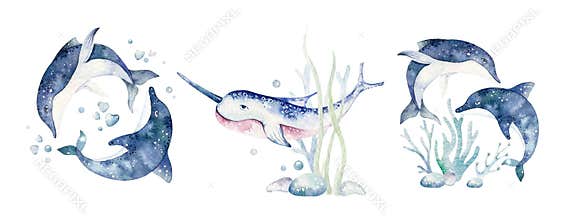 Set of sea animals. Blue watercolor ocean fish, turtle, whale and coral. Shell aquarium background. Nautical wildlife