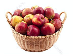 Basket full of apples