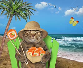 Cat on beach chair eats sushi