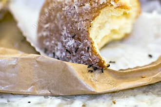 Ants at home eating a donut