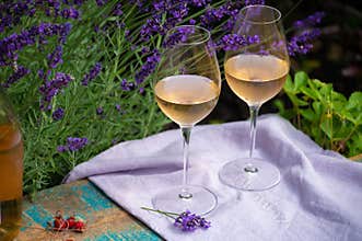 Love Provence, romantic picnic with glasses of cold French rose wine and purple lavender flowers in sunny summer garden