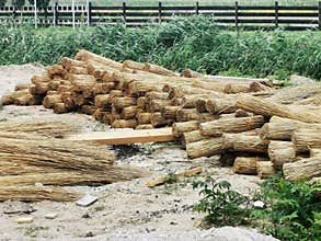 Reed bale ready to build a roof