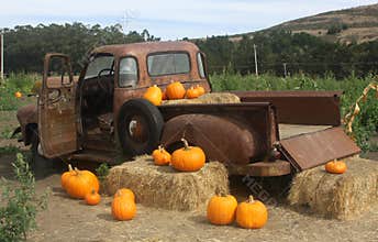 Pumpkin Truck