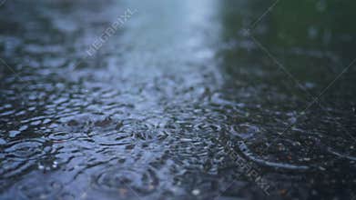 Weather nature rain water drops puddle street wet season
