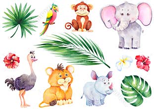 Set of little tropical animals.