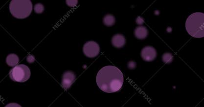 Vintage abstract circular purple, violet, red gradient glitter bokeh flowing on black background, love valentine day