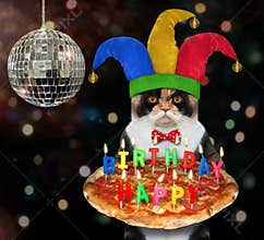 Cat clown carries birthday pizza