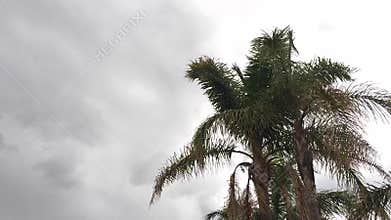 Tropical lightning and thunderstorm