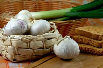 Garlic