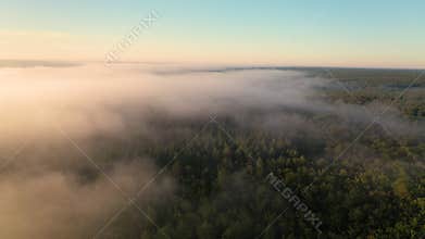 Flight over the misty forest at dawn.