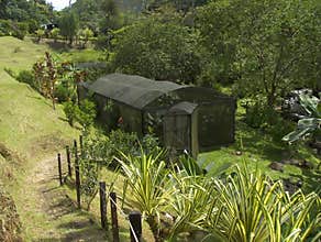 Butterfly home