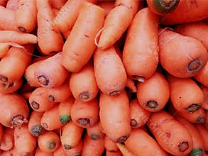 Carrots fresh vegetables in the market
