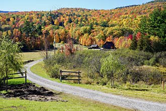Peaceful autumn fall stroll to enjoy the colorful leaves