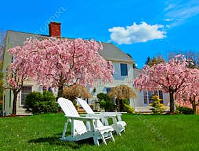 House in spring