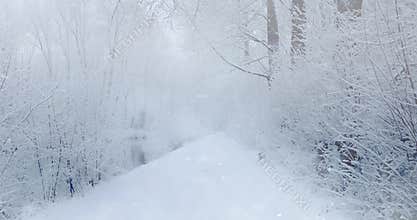 winter snowfall gorgeous landscape wood and river