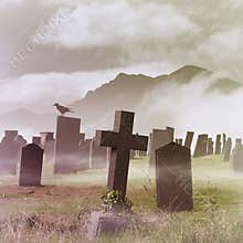Misty Graveyard