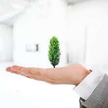 Sustainable development