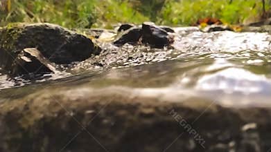 Natural clean water flowing over stones and rocks with moss and silky ripples through an idyllic creek on hiking tour in low angle