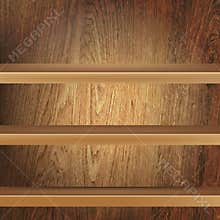 Bookshelf With Illumination