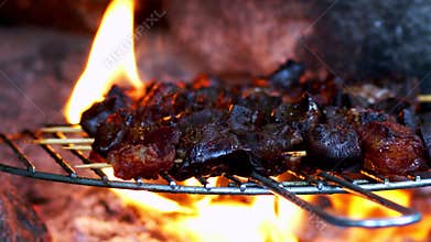 Meat on a Barbecue Fire
