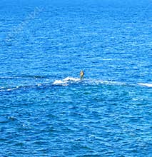 A fisherman catches fish from sea stones in the surf