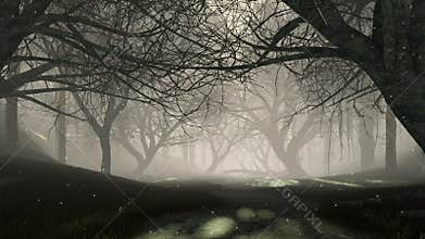 Mysterious night forest with magical fairy lights 4K