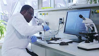 African-american scientist working in lab. Doctor making microbiology research. Biotechnology, chemistry, bacteriology