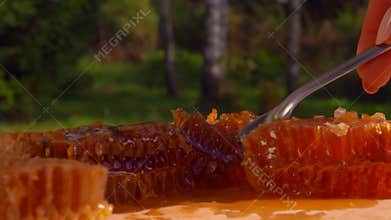 Fork cuts a slice of honeycombs with honey