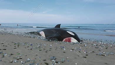 Killer Whale Dead by Ocean Pollution