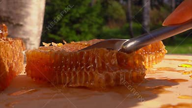 Fork breaks off and picks up a piece of honeycomb