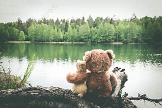 Two friends, bunny and teddy bear are sitting on shore of forest lake, dreaming and remembering. Back view