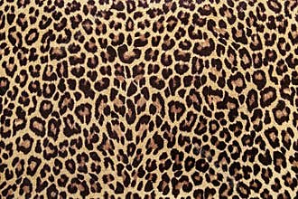 Leopard effect fabric pattern background sample. African style, leopard print, seamless.